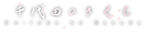 千代田のさくら|テストサイト